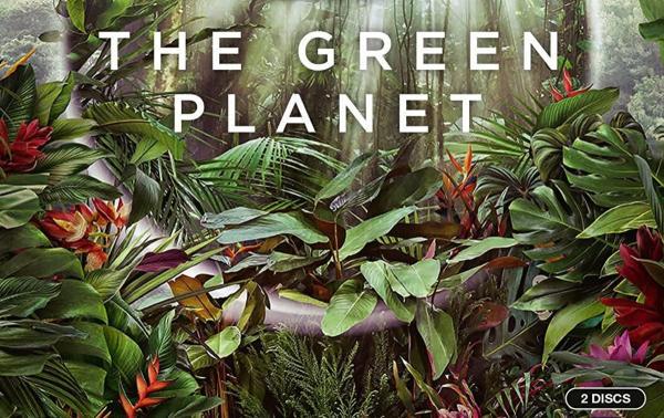 مستند سیارۀ سبز؛ روایتی شگفت انگیز از زندگی و مرگ گیاهان