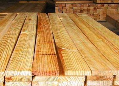 استحصال 30 هزار مترمکعب چوب در استان